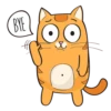 Puppy Kitte 20