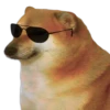 Perrito Sugoi 30