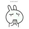 RABBIT 17