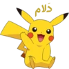 POKEMON 30