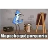 Mapache qué porquería
