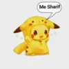 Pikachu 6
