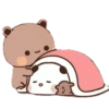 panda 5