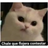 Chale que flojera contestar