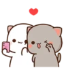 Peach Goma Cats 6