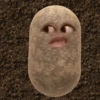 kentang is potato 5