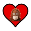 Corazones con Amor 11