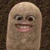 kentang is potato 9
