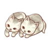 Gatitos cute 6