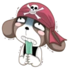 Pirate 5
