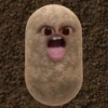 kentang is potato 10