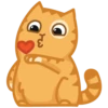 Peach 6