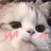 Gatinhos fofos 8