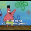 Patrick 13