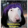 EDRIRAN
No soy tu perro,
soy tu perre