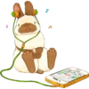 Rabbits 6
