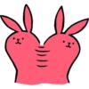 Pink Rabbit 12