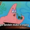 Patrick 16