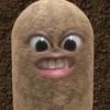 kentang is potato 13