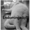 Endomingado!!