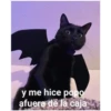 y me hice popo
afuera de la caja