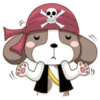 Pirate 9