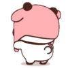panda 16