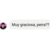 Muy graciosa, perra??