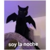 soy la noche
