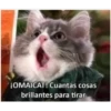 ¡OMAICAT! Cuantas cosas
brillantes para tirar