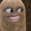 kentang is potato 15