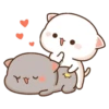 Peach Goma Cats 12