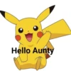Pikachu 15