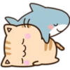 Cats and Shark 9