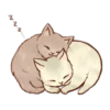 NA
