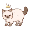 M
제