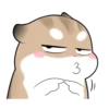 Pudding Hamster 11