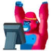 Pink Gorilla 13