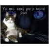 Yo era sexi, pero comi
pan
-Gatomania