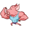 Pete The Pig 17