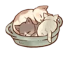 Gatitos cute 11