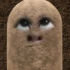 kentang is potato 16