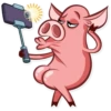 Pete The Pig 18