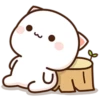 Peach Goma Cats 15