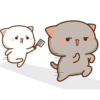 Peach Goma Cats 16