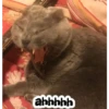 ahhhhh