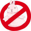 Rabbits 12