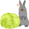 Rabbits 13