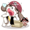 Pirate 11