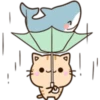Cats and Shark 14